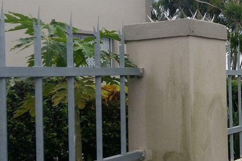 Wall Spikes needed on Palisade Fence