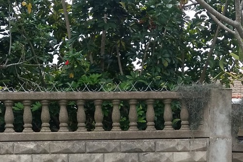 Wall Spikes on Precast Concrete Fence