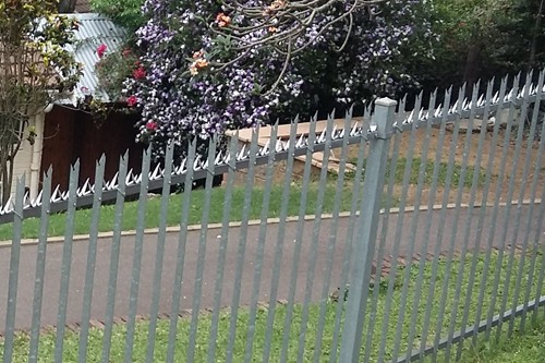 Wall Spikes on the inside horizontal bar of Palisade fence