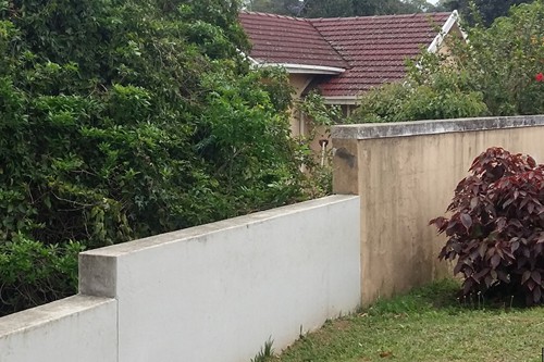 Wall Spikes urgently required on this wall