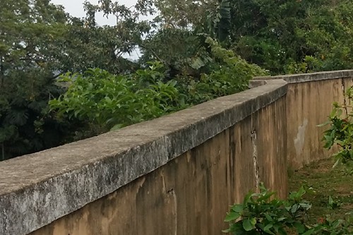 Wall Spikes will secure this boundary wall